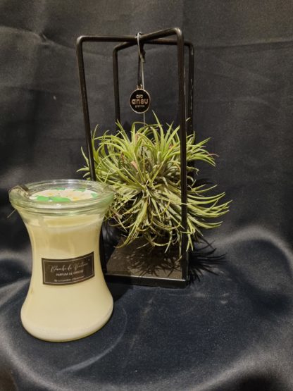 Bougie de Victoire avec mèche en bois