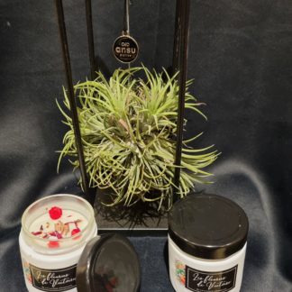 Bougie blanche de Victoire pétale de fleurs