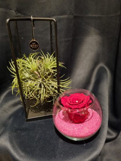 Rose éternelle dans vase boule