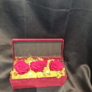 Roses éternelles dans leurs écrin de velours