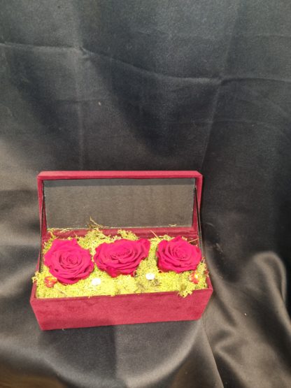 Roses éternelles dans leurs écrin de velours
