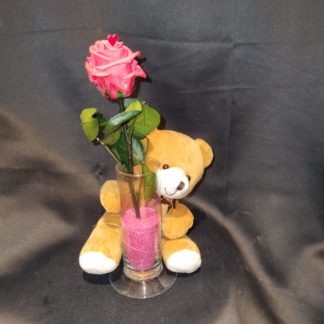 Rose éternelle et son petit ourson
