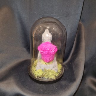 Rose éternelle bouddha sous cloche