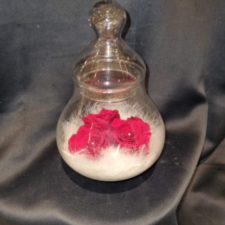 Rose éternelle dans sa bonbonnière