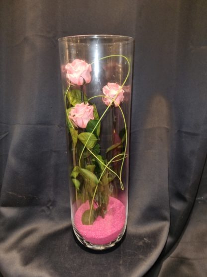 Roses éternelles dans leurs vase