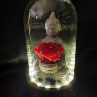 Rose éternelles bouddha sous globe lumineux