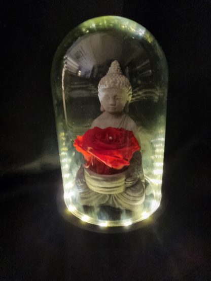 Rose éternelles bouddha sous globe lumineux