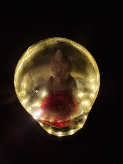 Rose éternelles bouddha sous globe lumineux – Image 2