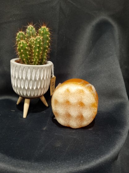 Savon éponge
