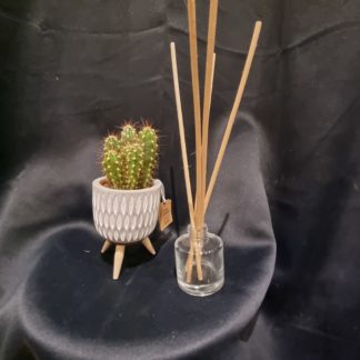 Bouteille diffuseur d'huiles essentielles