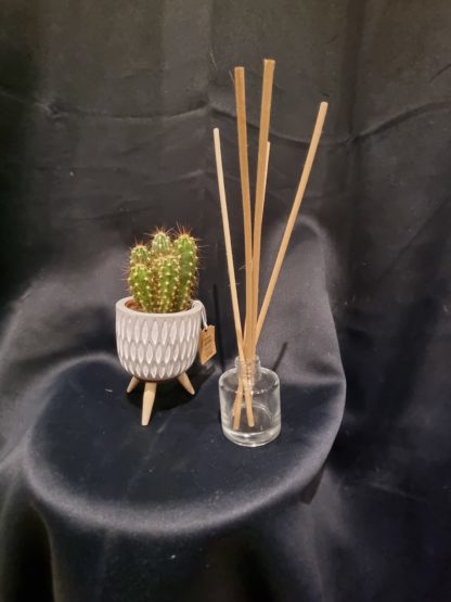 Bouteille diffuseur d'huiles essentielles