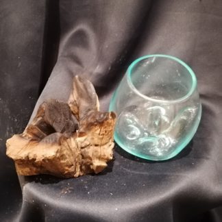 Vase en verre sur bûche (petit)