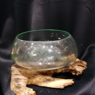 Vase en verre sur bûche (coupe)