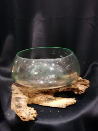 Vase en verre sur bûche (coupe)