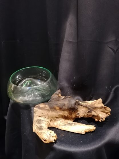 Vase en verre sur bûche (coupe) – Image 2