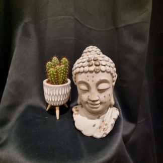 Buste de Bouddha