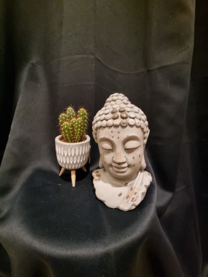 Buste de Bouddha